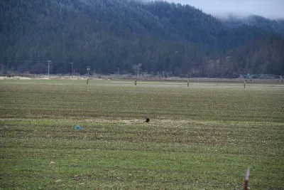 DSC_5852 (Large).JPG